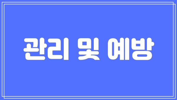 관리 및 예방