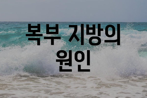 복부 지방의 원인