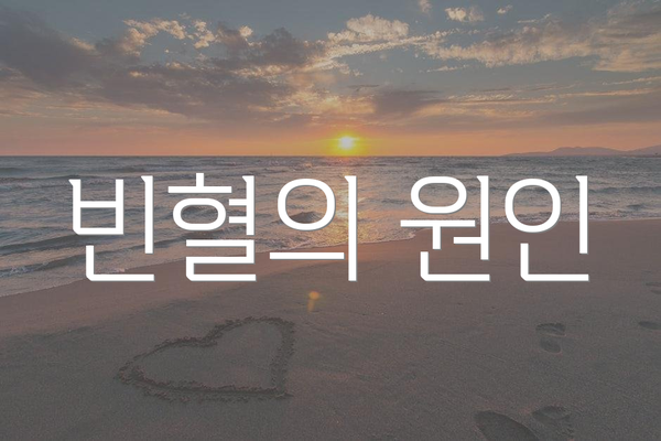 빈혈의 원인