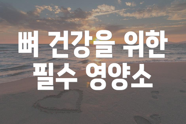 뼈 건강을 위한 필수 영양소
