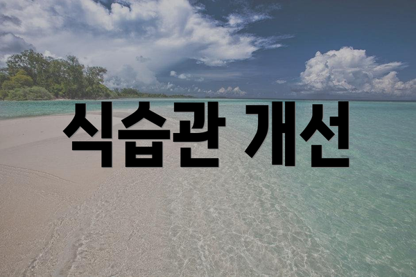 식습관 개선