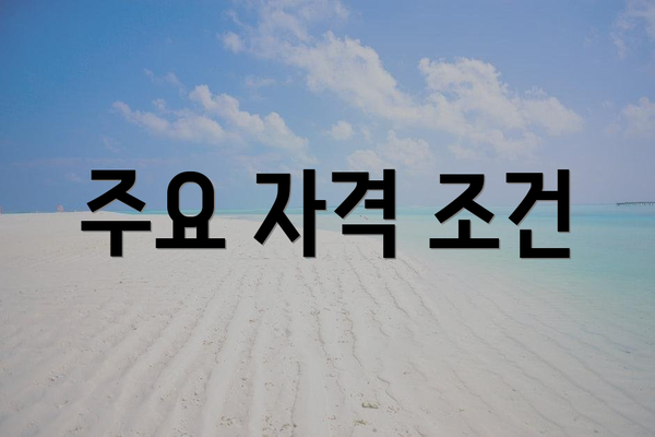 주요 자격 조건