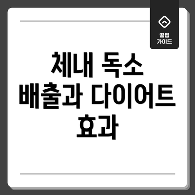 체내 독소 배출과 다이어트 효과