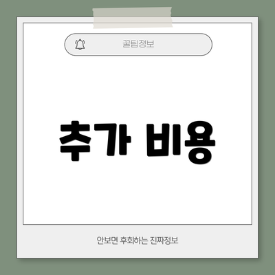 추가 비용