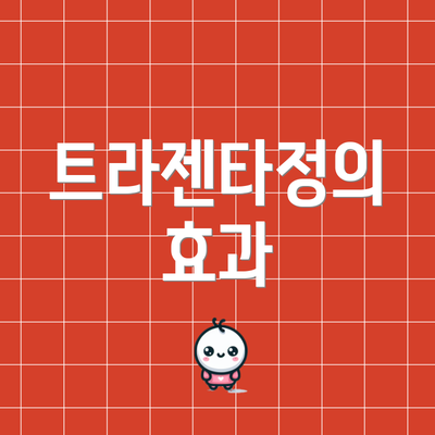 트라젠타정의 효과