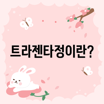 트라젠타정이란?