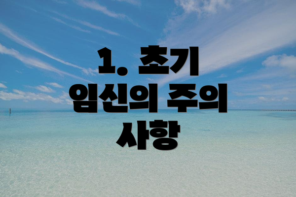 1. 초기 임신의 주의 사항