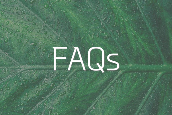 FAQs