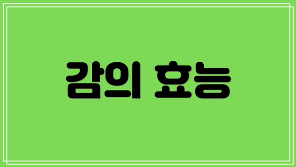 감의 효능