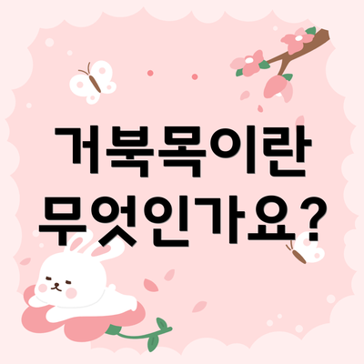거북목이란 무엇인가요?