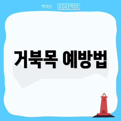 거북목 예방법