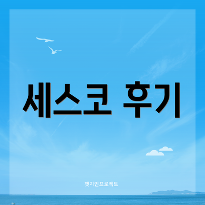 세스코 후기