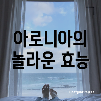 아로니아의 놀라운 효능