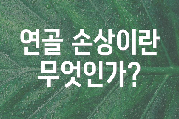 연골 손상이란 무엇인가?