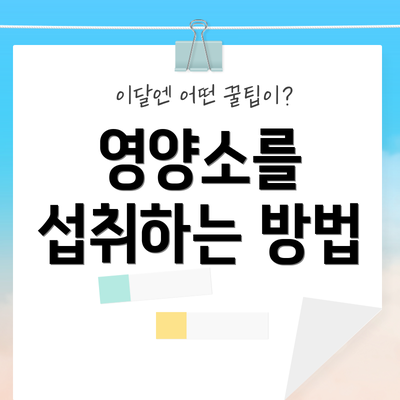 영양소를 섭취하는 방법