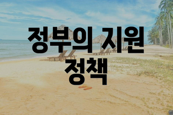 정부의 지원 정책
