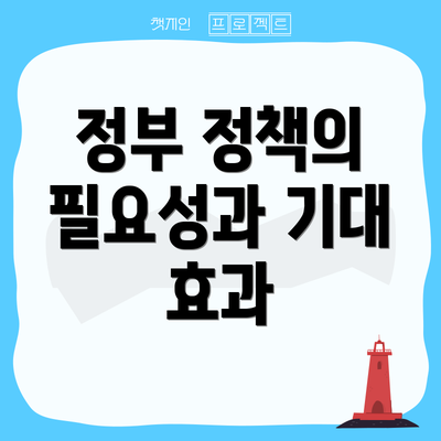 정부 정책의 필요성과 기대 효과