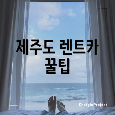 제주도 렌트카 꿀팁