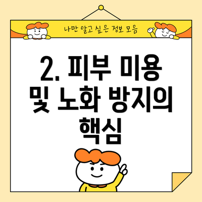 2. 피부 미용 및 노화 방지의 핵심