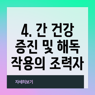 4. 간 건강 증진 및 해독 작용의 조력자