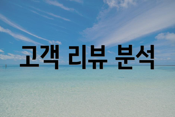 고객 리뷰 분석