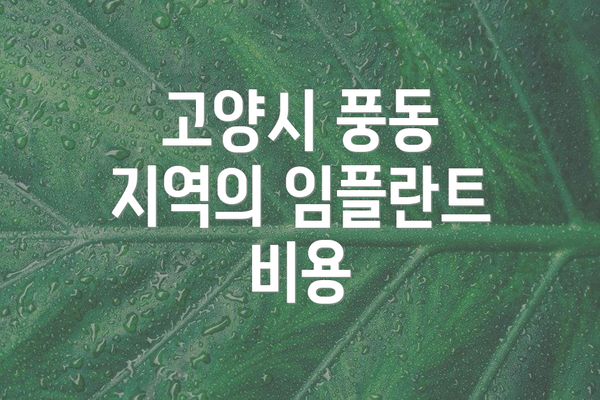 고양시 풍동 지역의 임플란트 비용