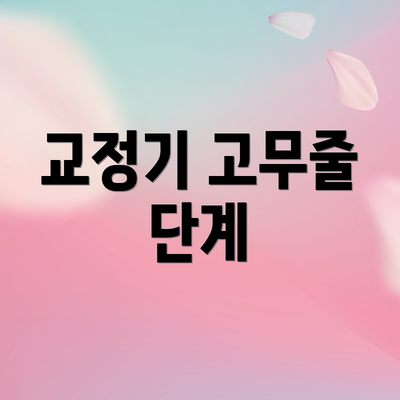 교정기 고무줄 단계
