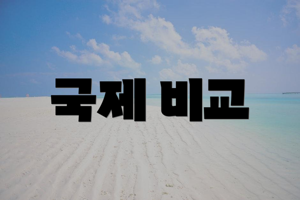 국제 비교