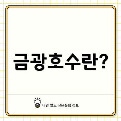 금광호수란?