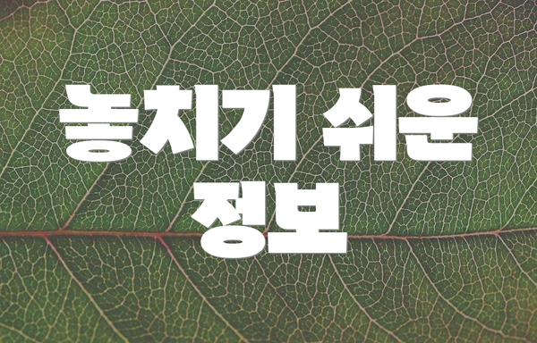 놓치기 쉬운 정보