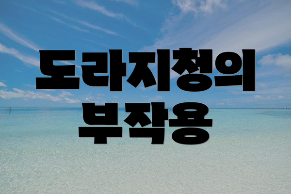 도라지청의 부작용
