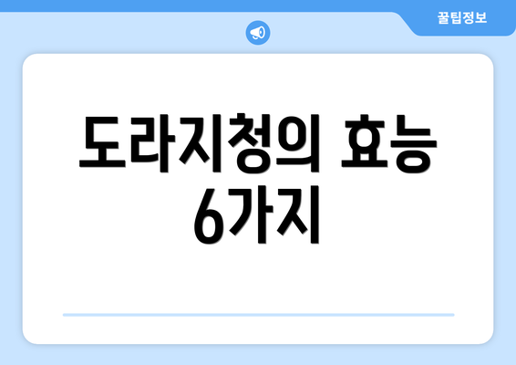 도라지청의 효능 6가지