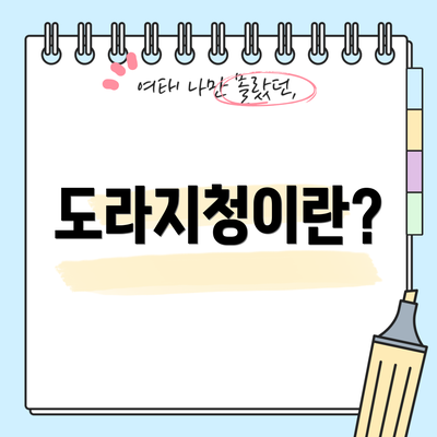 도라지청이란?