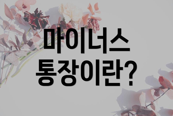 마이너스 통장이란?