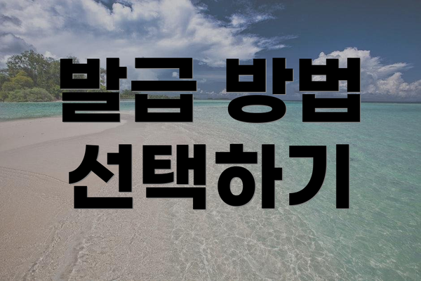 발급 방법 선택하기