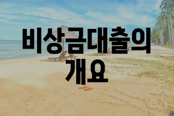 비상금대출의 개요