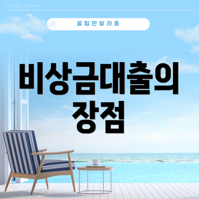 비상금대출의 장점