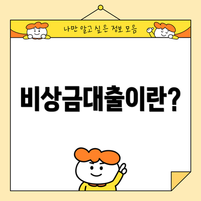 비상금대출이란?