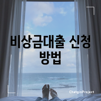 비상금대출 신청 방법