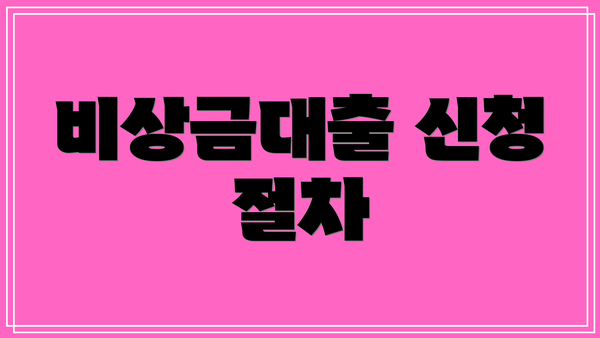 비상금대출 신청 절차