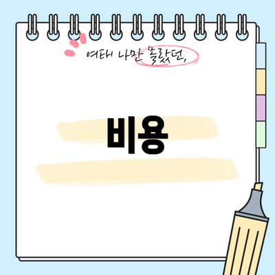 비용