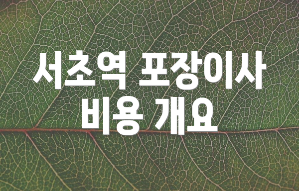 서초역 포장이사 비용 개요