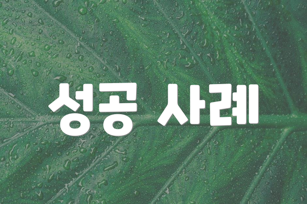 성공 사례