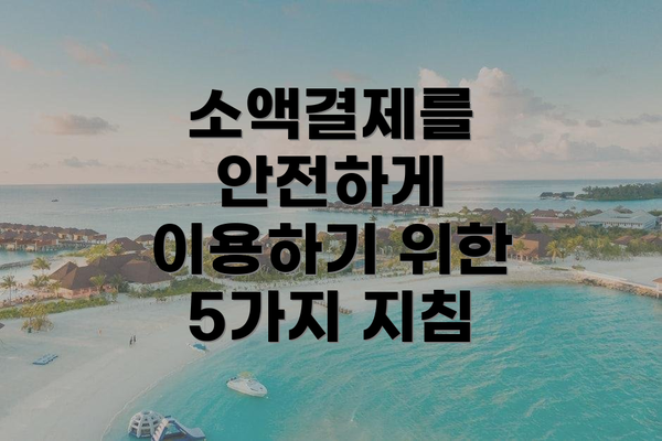 소액결제를 안전하게 이용하기 위한 5가지 지침