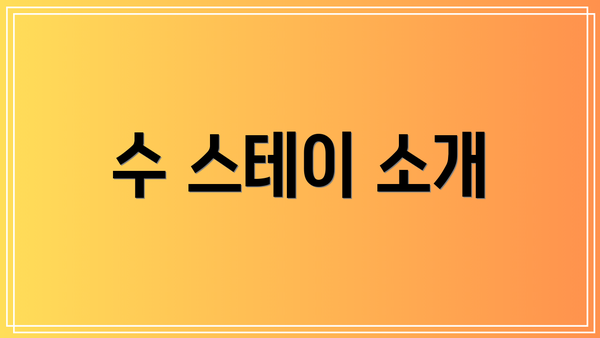 수 스테이 소개
