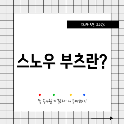 스노우 부츠란?