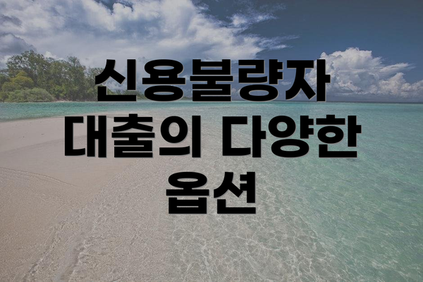 신용불량자 대출의 다양한 옵션