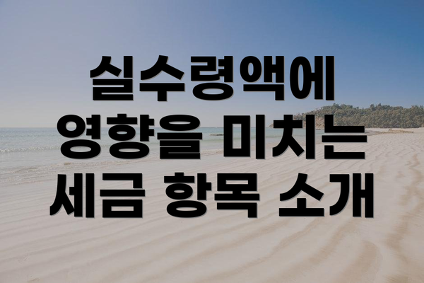 실수령액에 영향을 미치는 세금 항목 소개