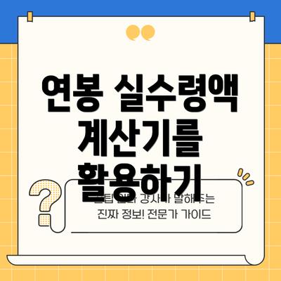 연봉 실수령액 계산기를 활용하기