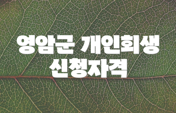 영암군 개인회생 신청자격